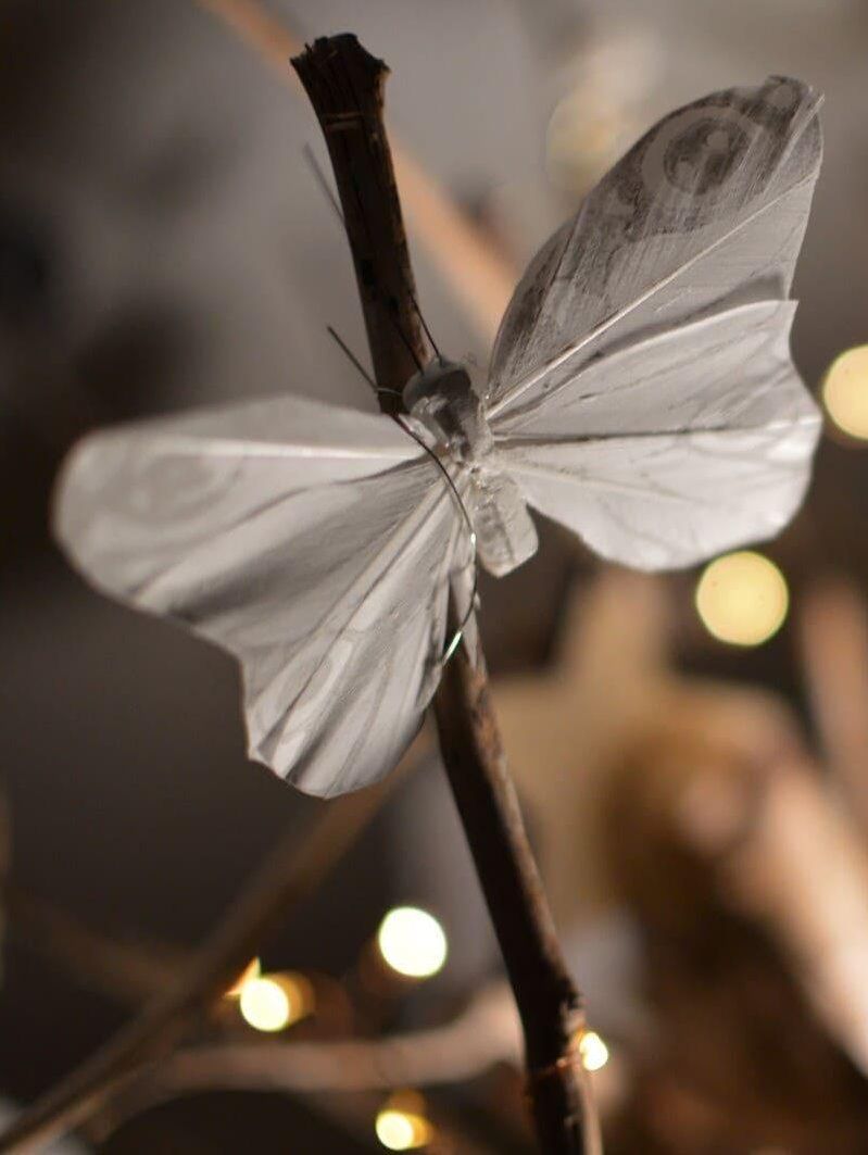 Witte vlinder op tak