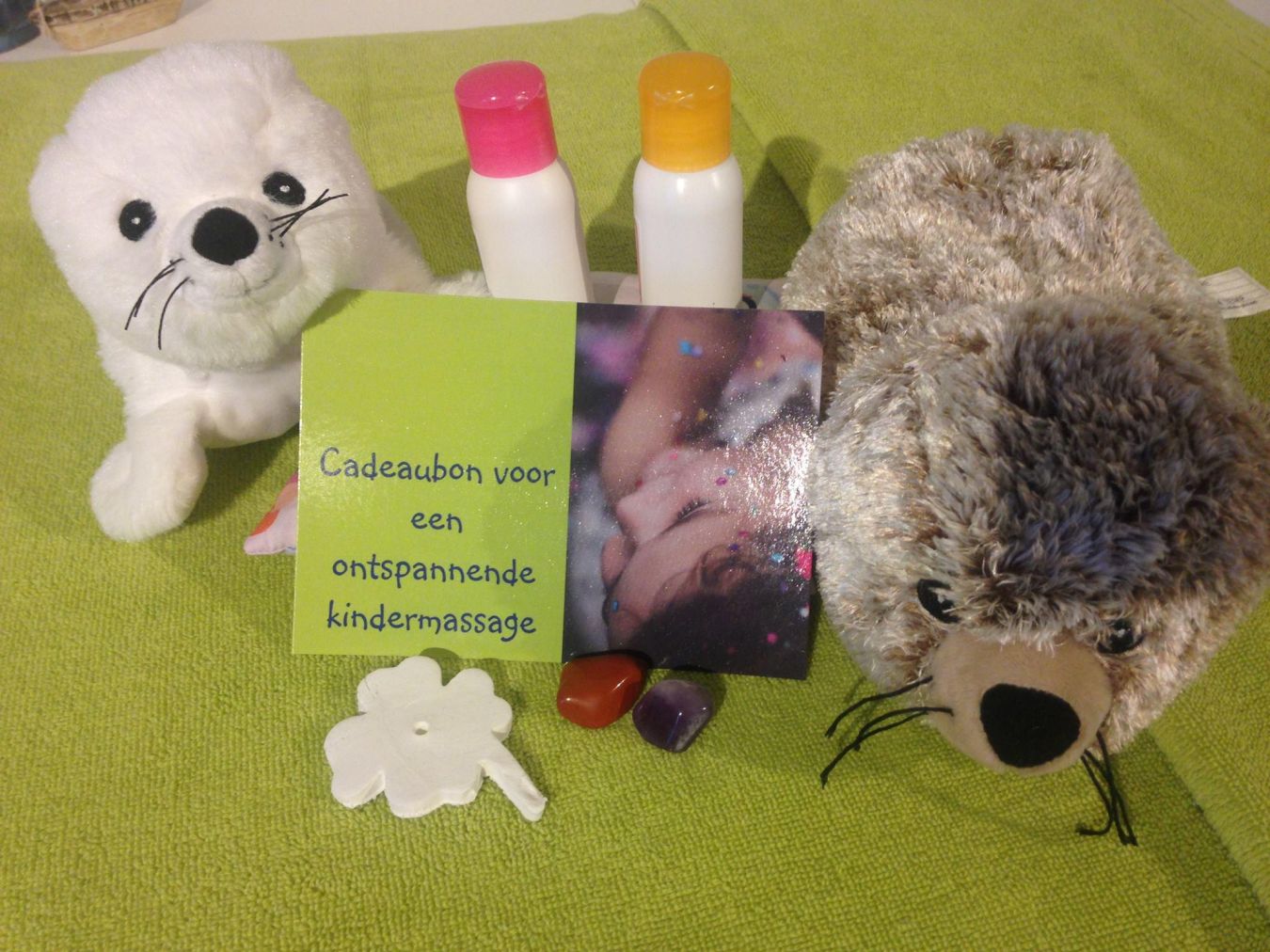 24173676 951399908346787 8066190566143701217 o