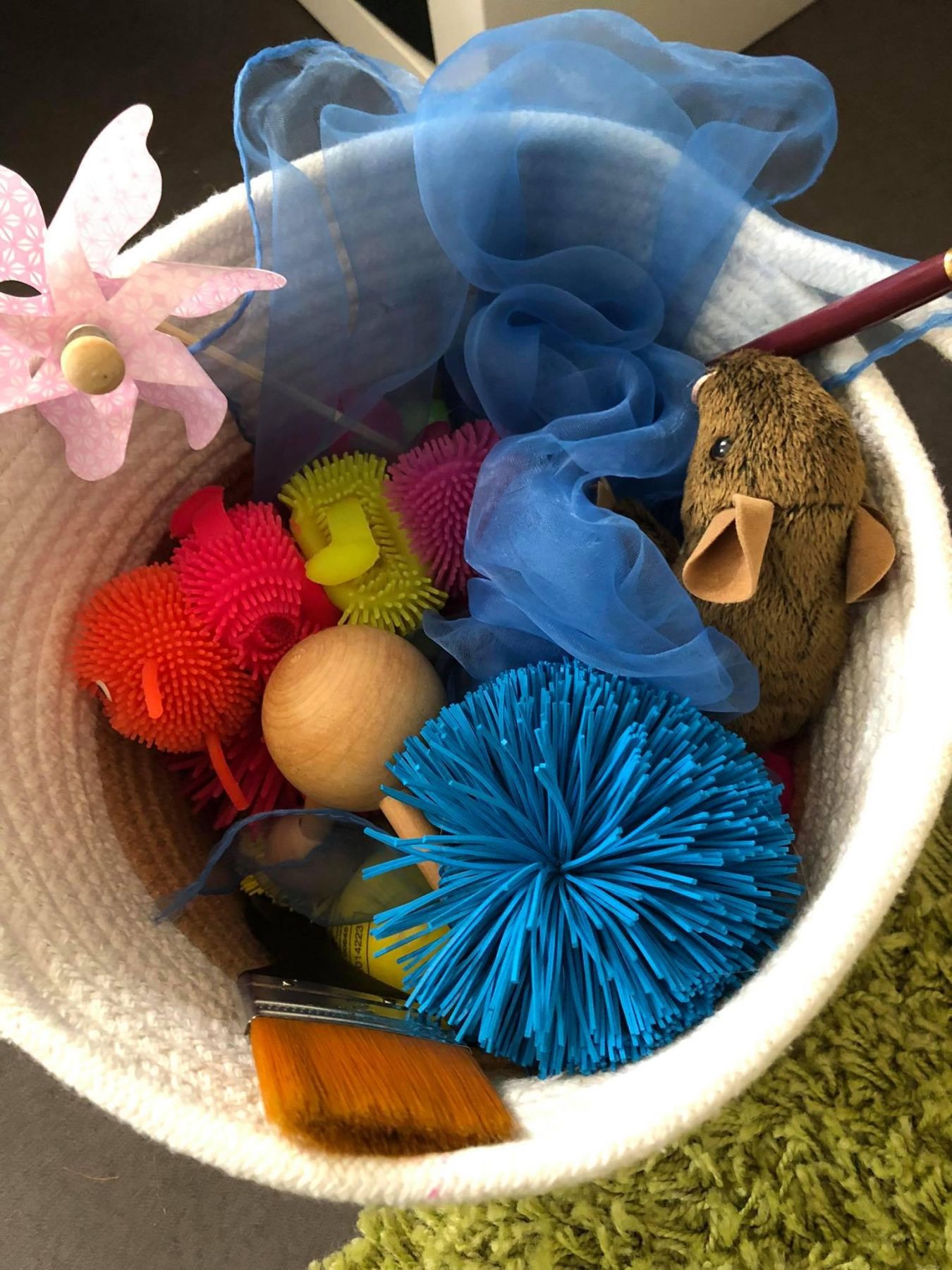 208280470 993730858040450 3528431957739449551 n