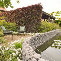 Th 30755271169 1096x822