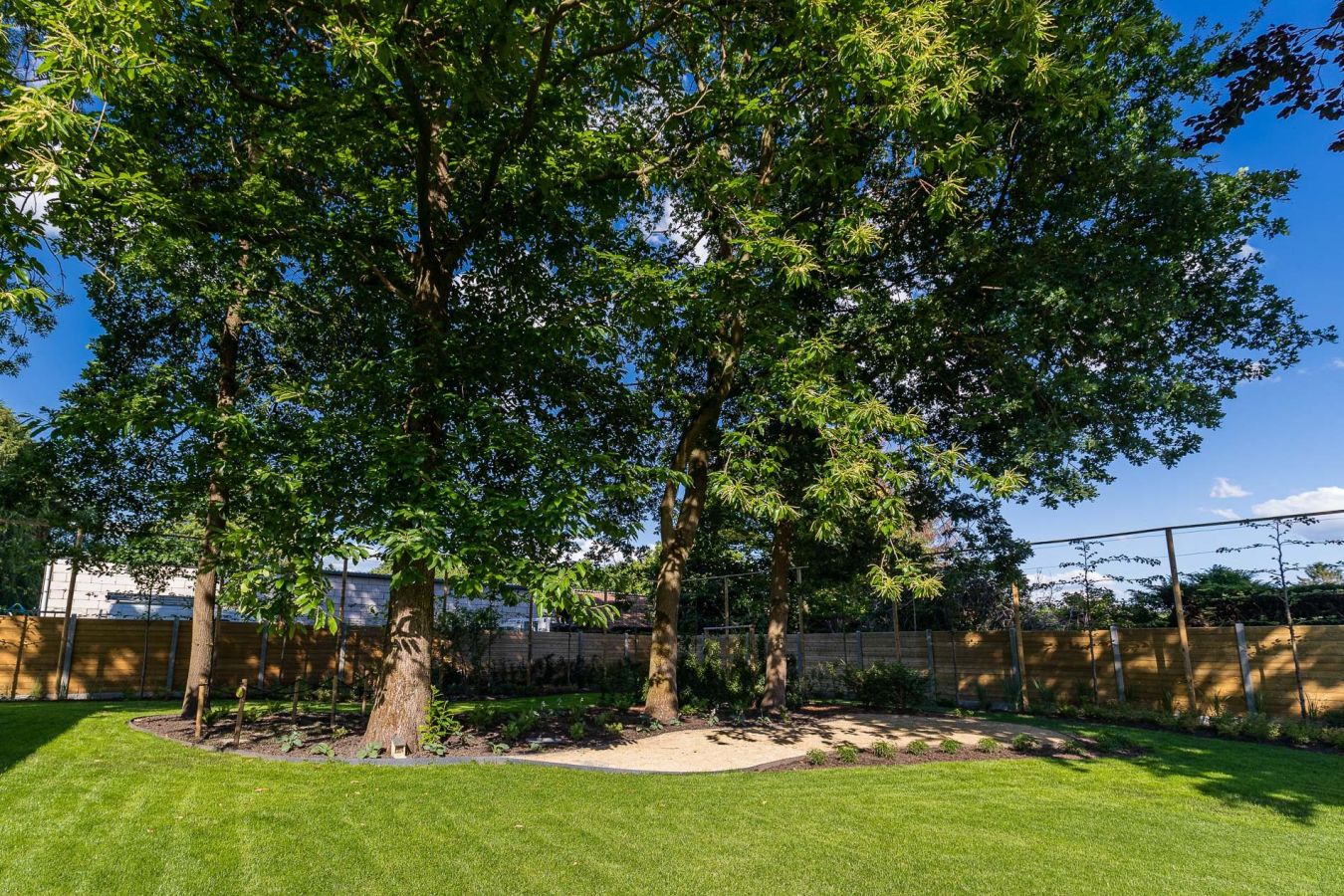 20200606 T Klein Geluk 004