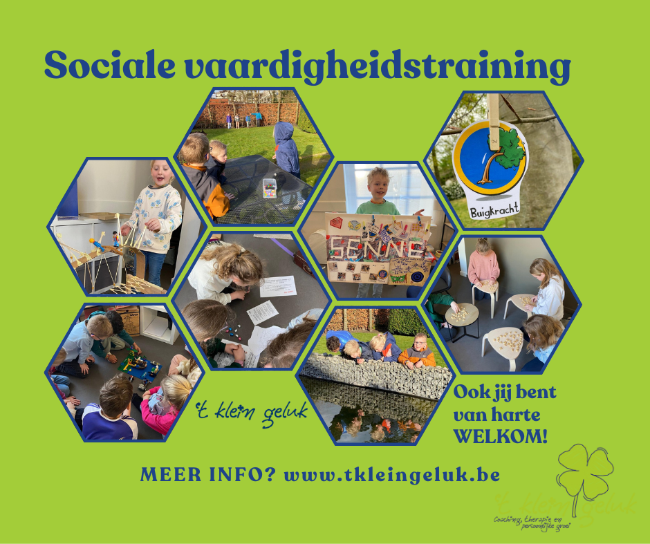 Sociale vaardigheidstraining 3