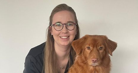 Afbeelding van Whats App op 2025 05 31 om 18 07 42 461dcf34